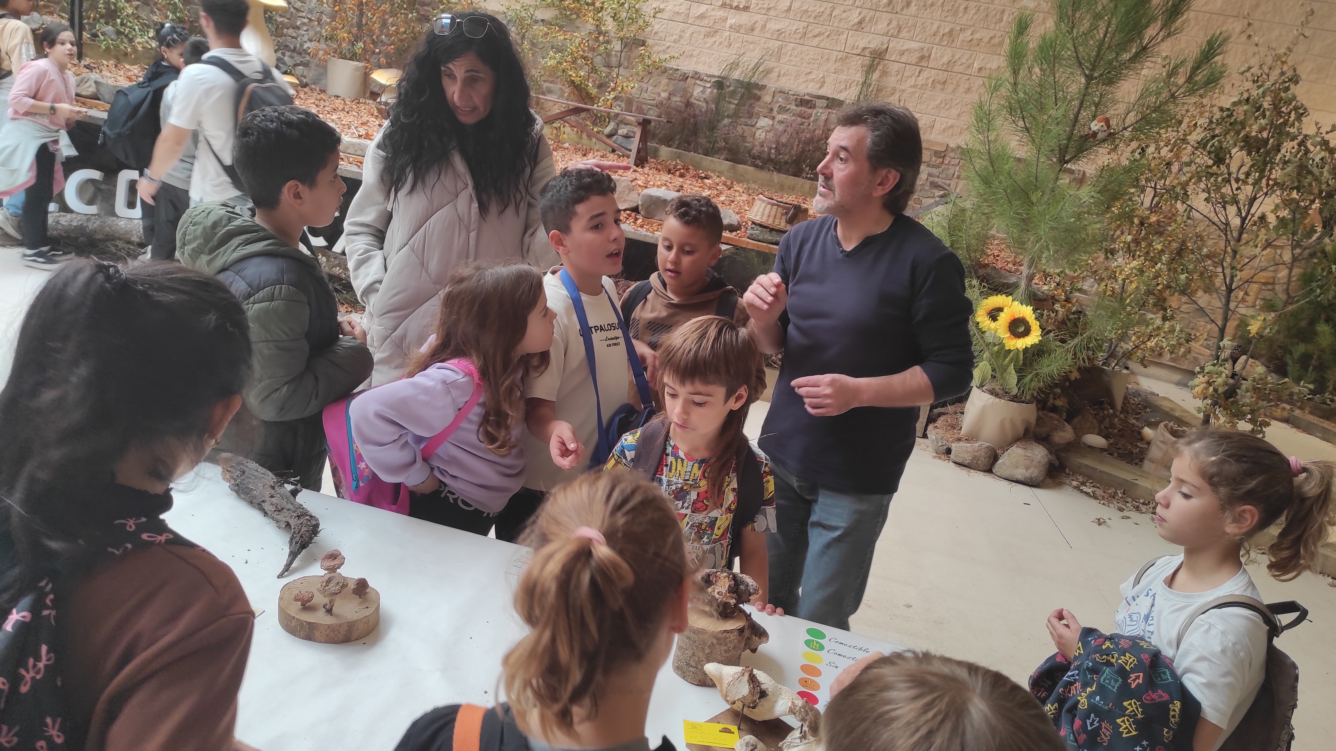 Copia de IMG_20251030_122621.jpg